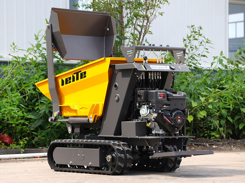 5.LT-D80-Mini-Dumperr