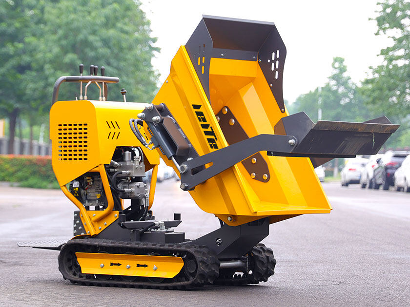3.LT-D50-Mini-Dumperr