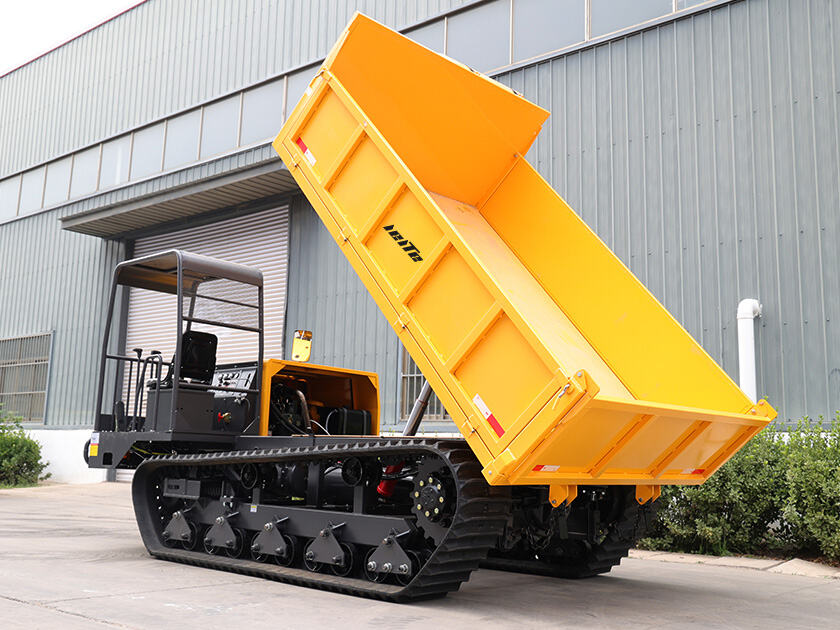 4.LT-D100-DUMPER