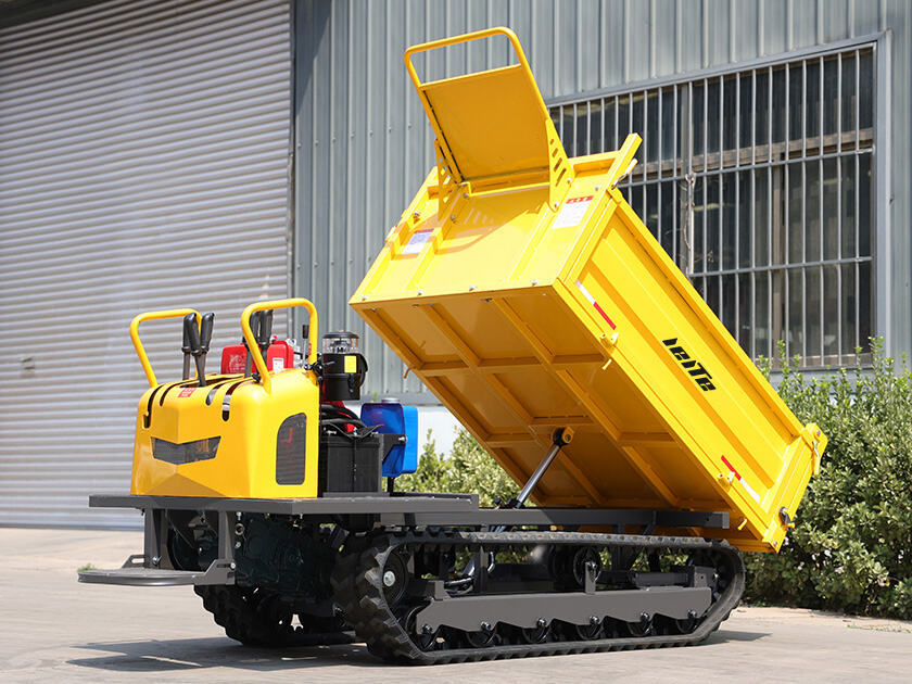 4.LT-D20-DUMPER