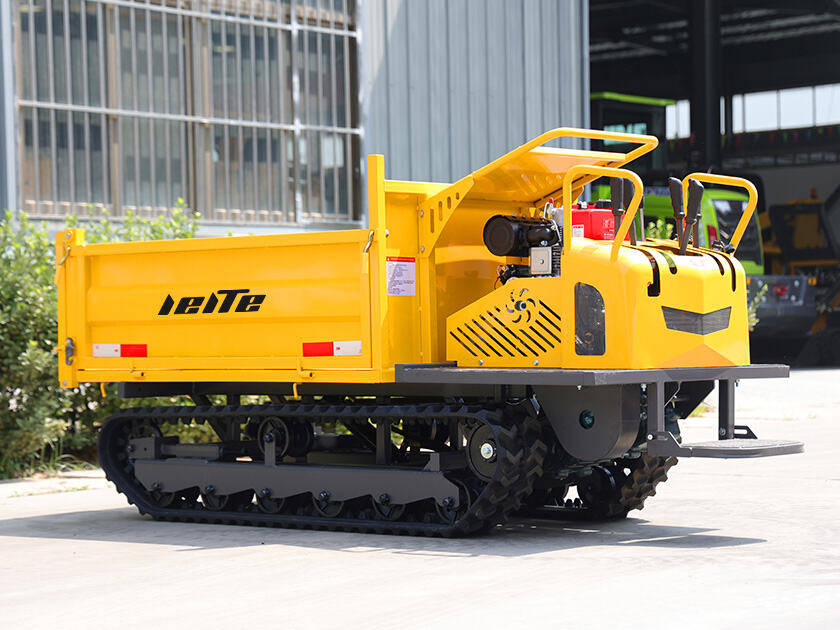 2.LT-D20-DUMPER