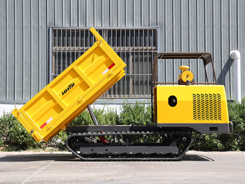 5.LT-D40-DUMPER