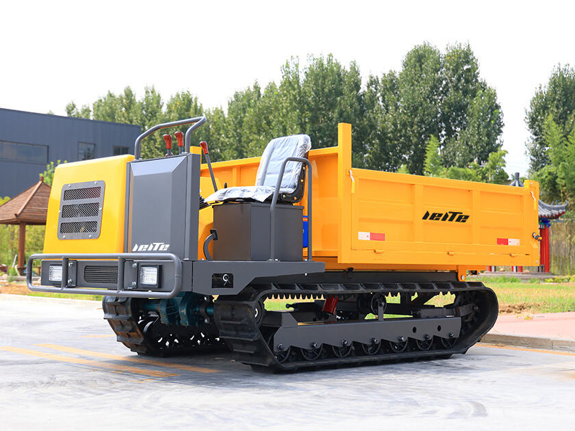 1.LT-D30-DUMPER