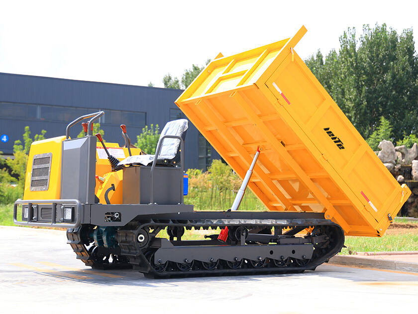 5.LT-D30-DUMPER