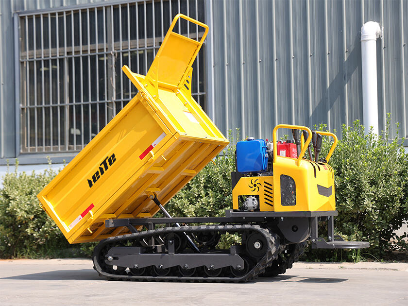 5.LT-D12-DUMPER