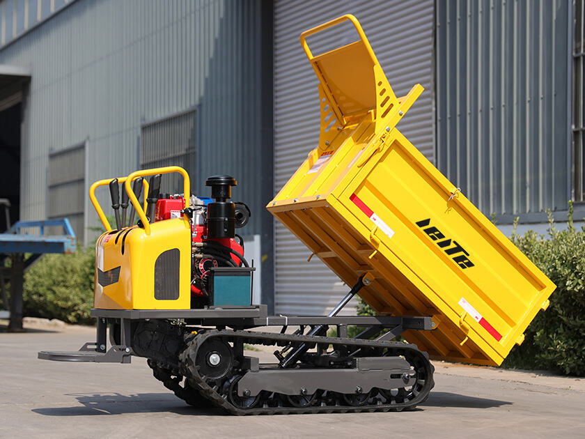 4.LT-D08-DUMPER