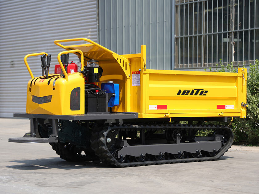 1.LT-D20-DUMPER