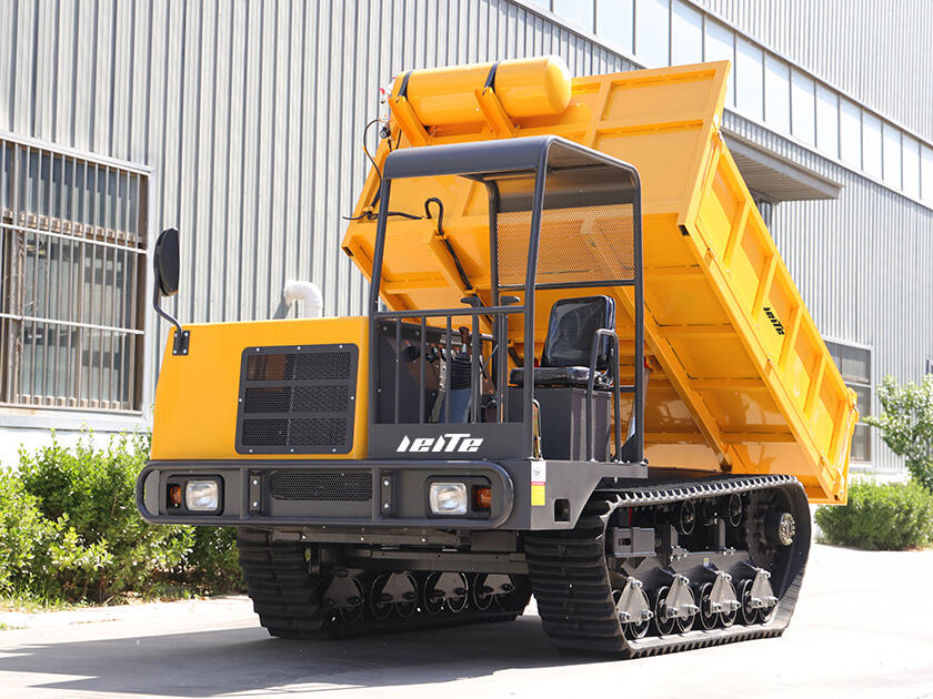 4.LT-D80-DUMPER