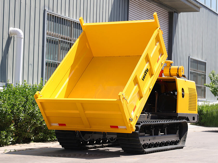 5.LT-D50-DUMPER
