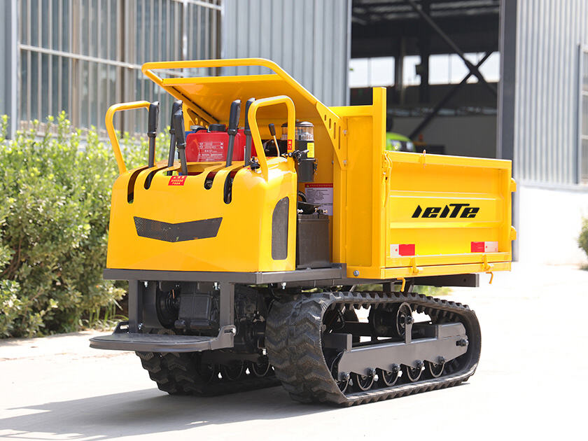 1.LT-D12-DUMPER