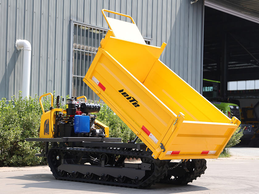 5.LT-D20-DUMPER