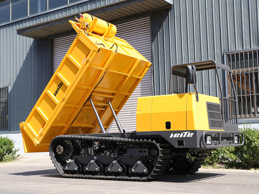 5.LT-D80-DUMPER