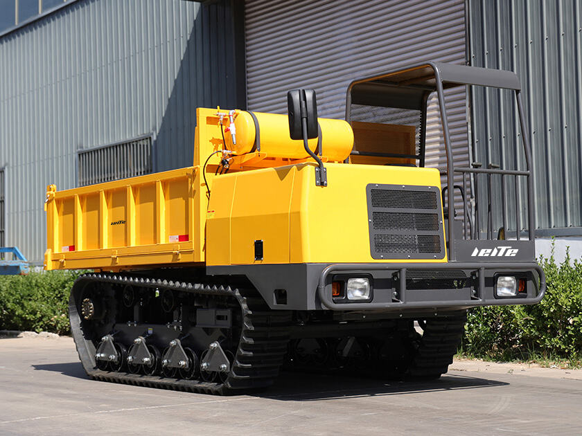 2.LT-D80-DUMPER