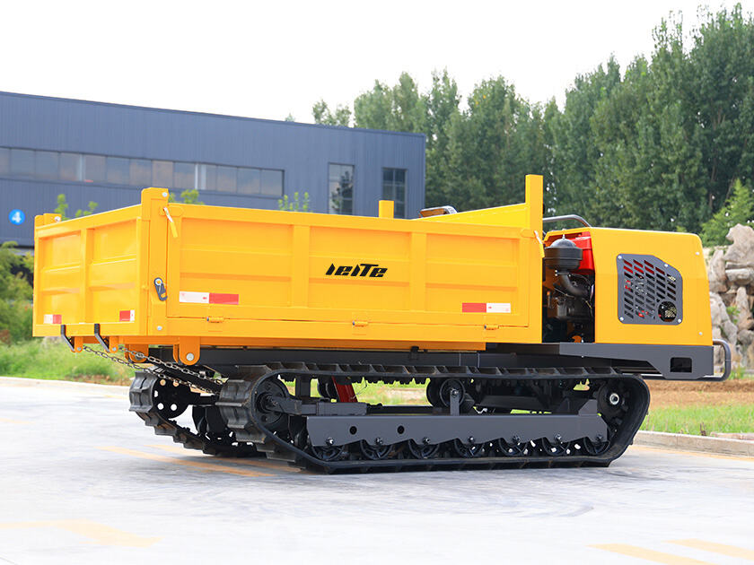 2.LT-D30-DUMPER