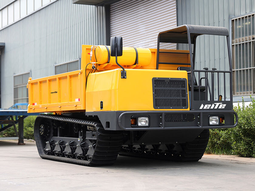 2.LT-D100-DUMPER