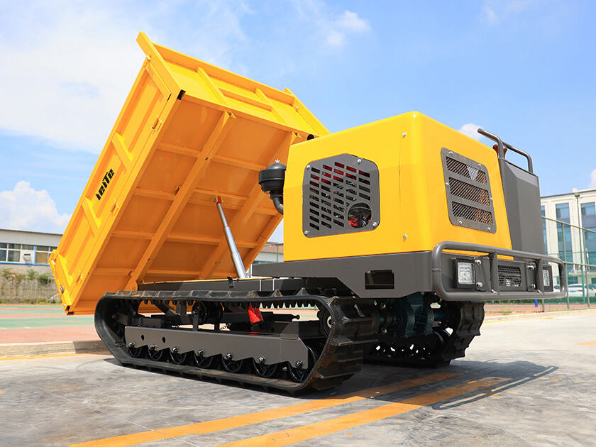 3.LT-D30-DUMPER