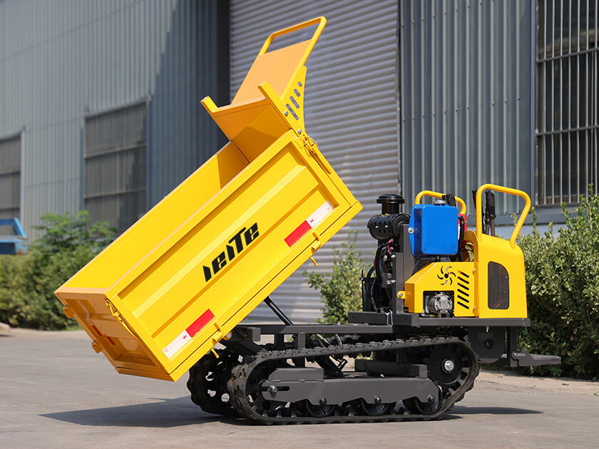 5.LT-D08-DUMPER