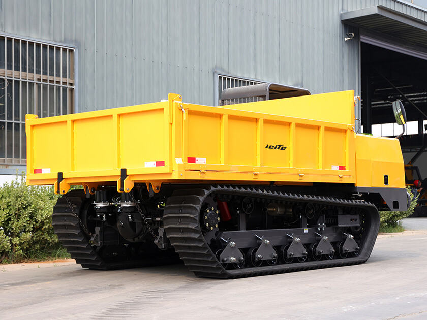 3.LT-D100-DUMPER