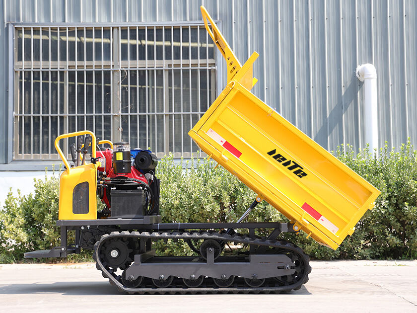 4.LT-D12-DUMPER