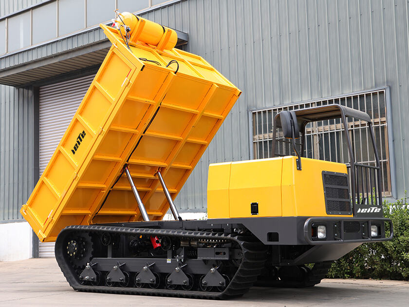 5.LT-D100-DUMPER